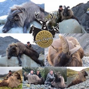 Alternative view of James Cagney's New Zealand Hunting Adventures