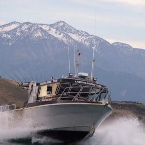Kaikoura Fishing Tours